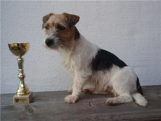 Roxy