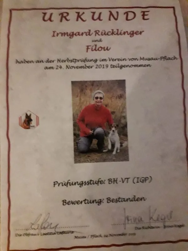 Olé Filou besteht seine erste Prüfung