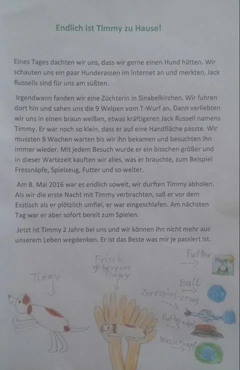 Timmy's Geschichte