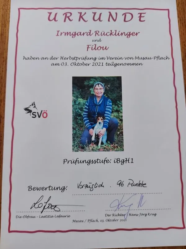 Hund aus unserer Zucht