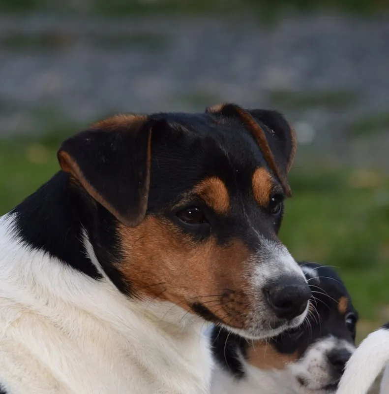 Ursina und Frank