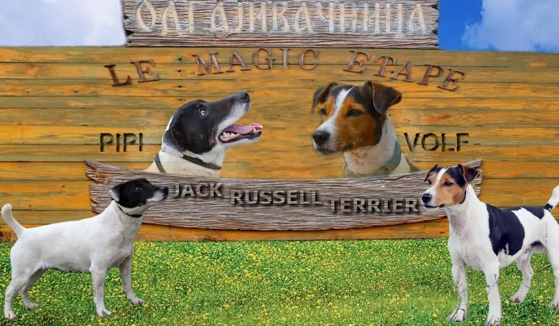 Pipi und Volf, Großeltern väterlicherseits