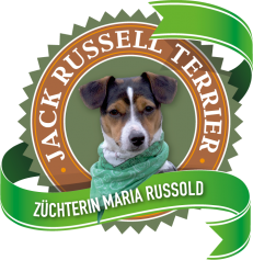 Gestüt Marienhof | Jack Russell Terrier von Maria's Pferdefarm